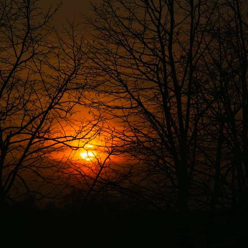 Mystic/The Forrest Soul