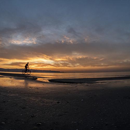 Photo #5541942