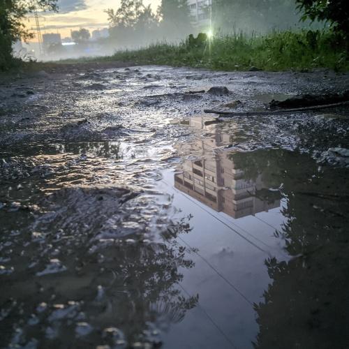 Photo #5542031