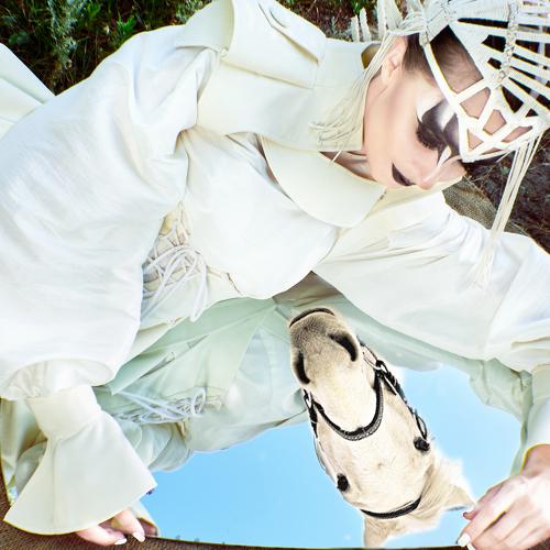 Photo #5542361
