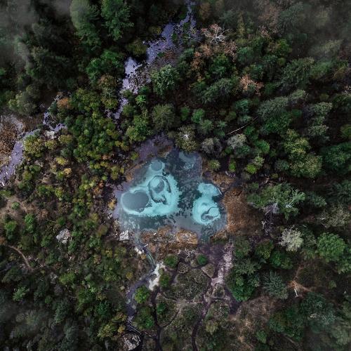Photo #5543379