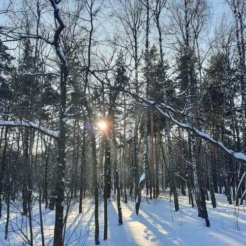Photo #5543751