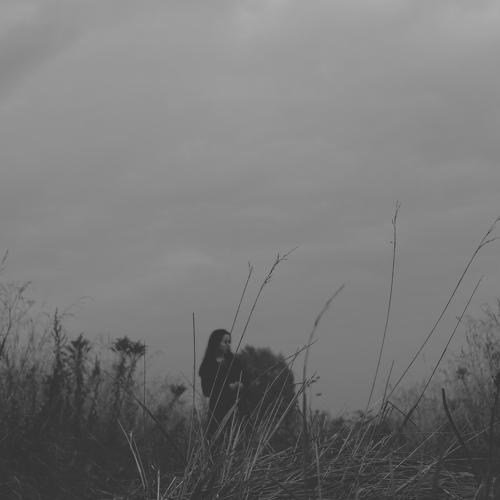 Photo #5543870