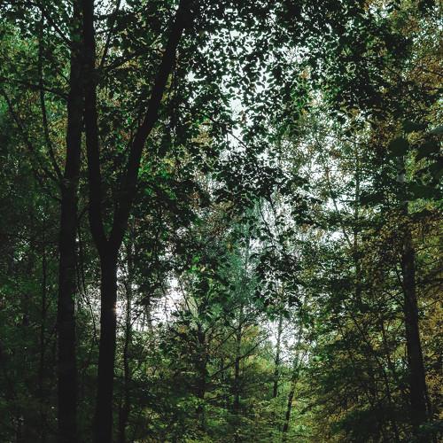Photo #5543946