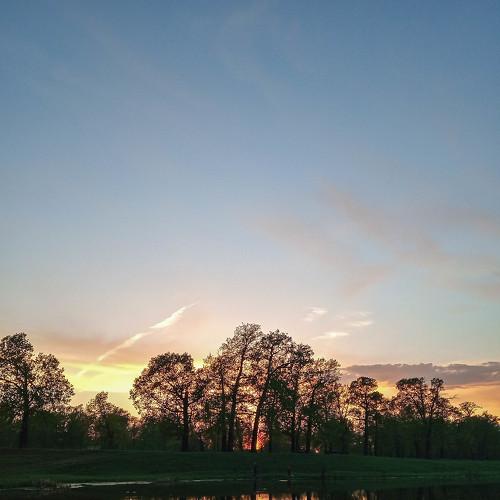 Photo #5544065