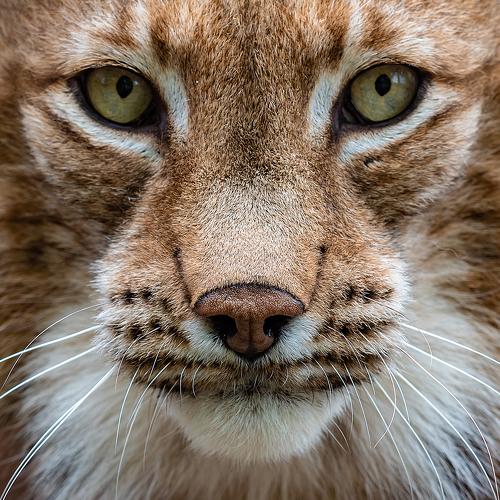 Photo #5544135