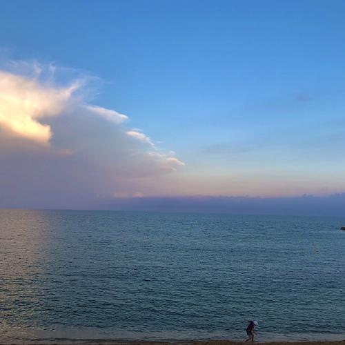 Photo #5544884