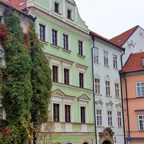 Photo #5545499