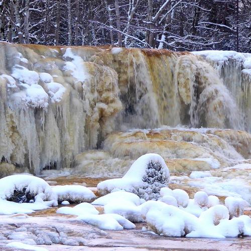 Photo #5545632