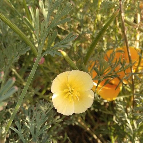 Photo #5545870
