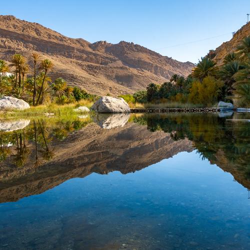 Nature Reflection