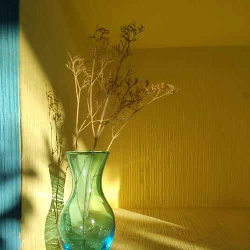 Photo #5546195