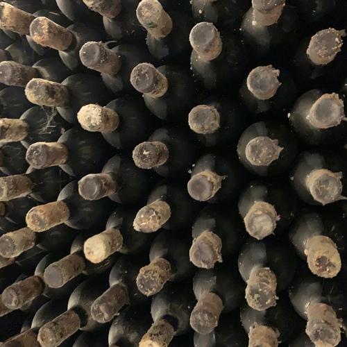 Wine cellars. This bottles have at least 50 years.