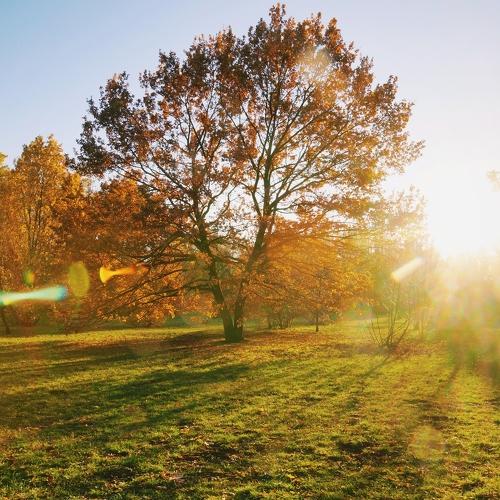 Photo #5546715