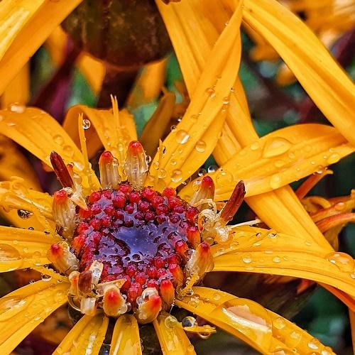 Photo #5546820