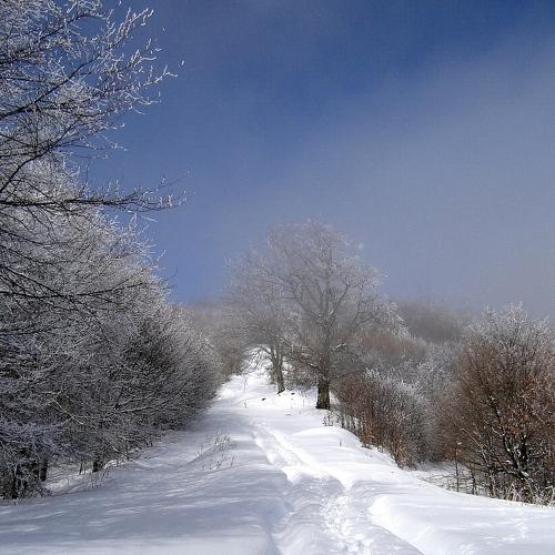 Photo #5546870