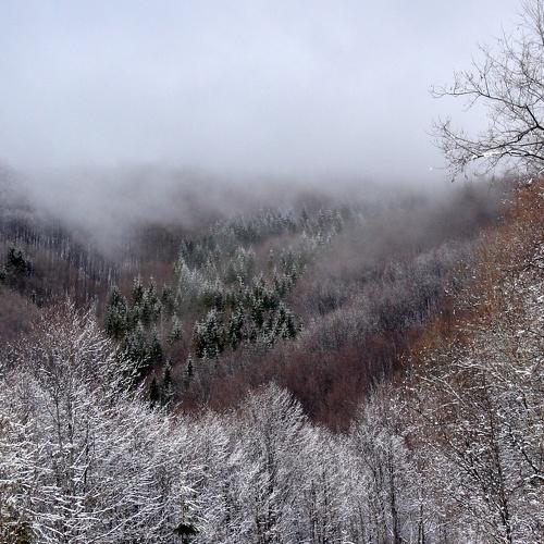 Photo #5546871