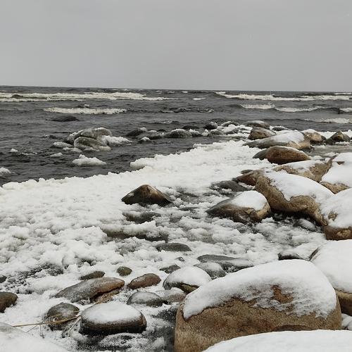 Photo #5547224