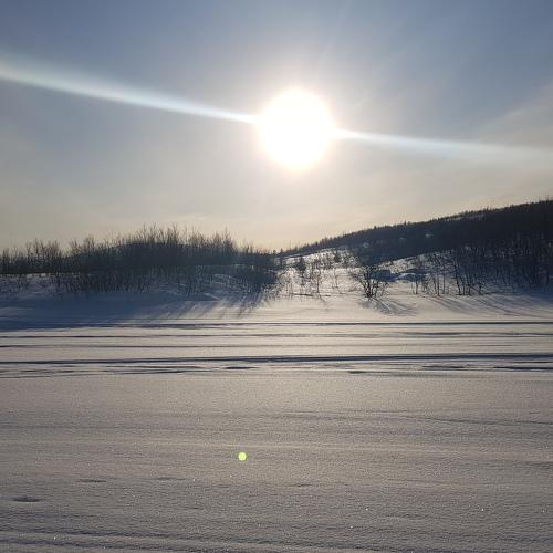 Photo #5547795