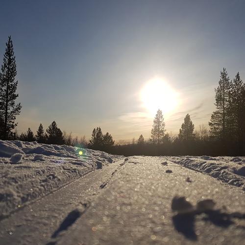 Photo #5547797