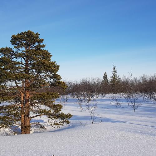 Photo #5547799