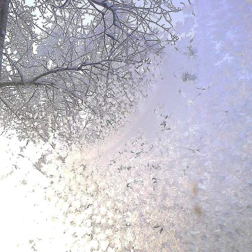 Photo #5548053