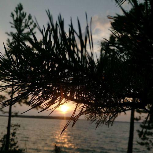 Photo #5548112