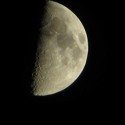 Photo #5548113