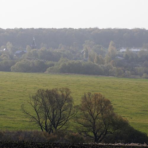 Photo #5548141