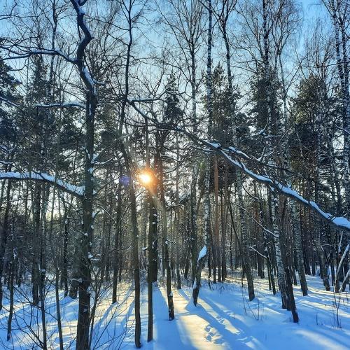 Photo #5548175