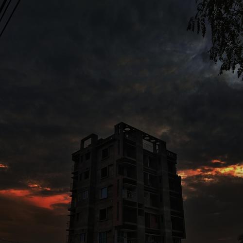 Photo #5548192