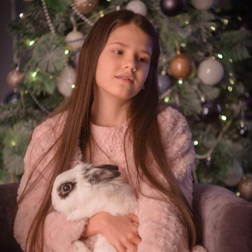 Photo #5548245