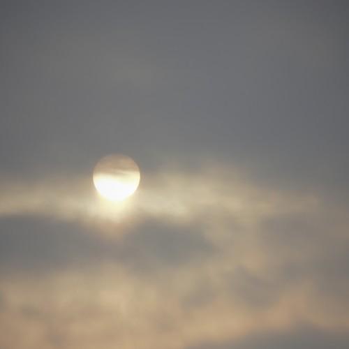 Photo #5549025