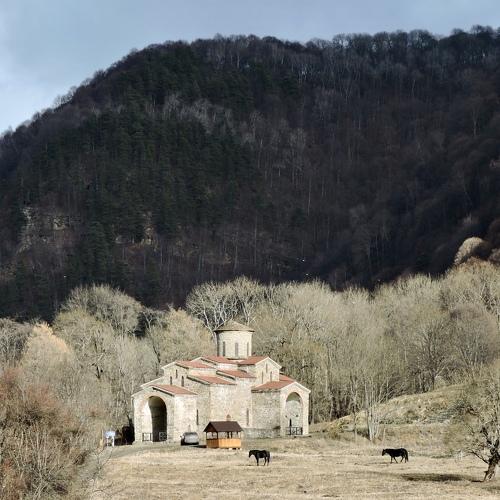 Photo #5549560