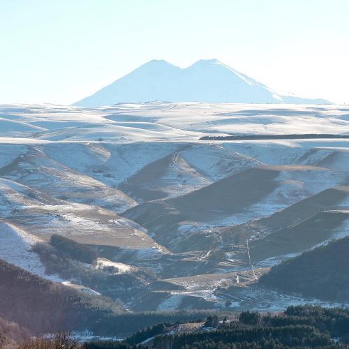 Photo #5549567