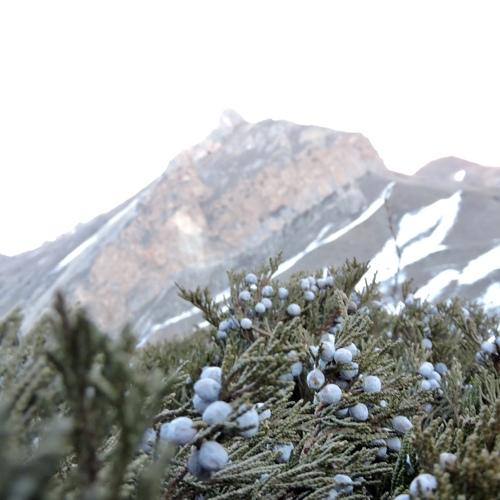 Photo #5549611