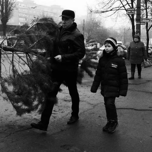 Photo #5549650