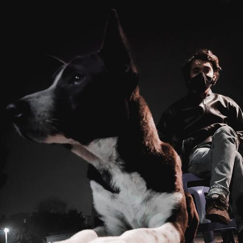 Photo #5549901