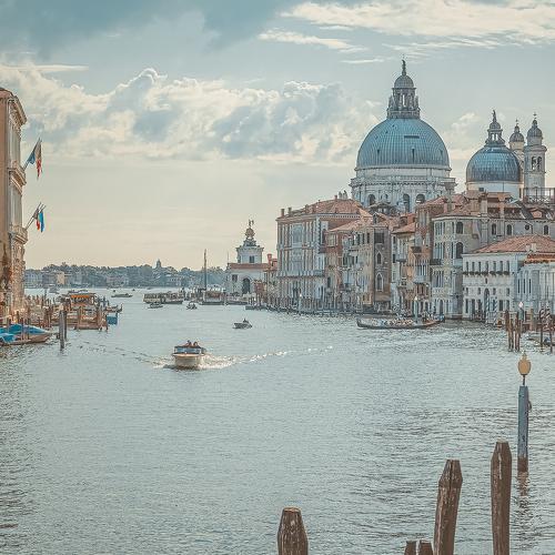 Photo #5550013