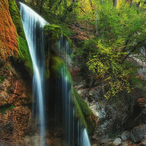 Photo #5550281
