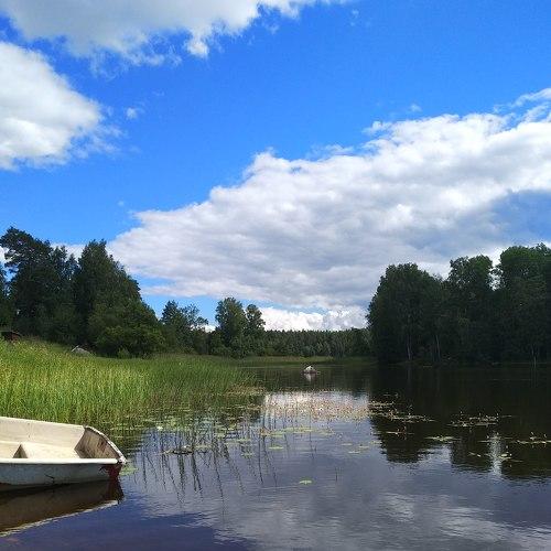 Photo #5550964