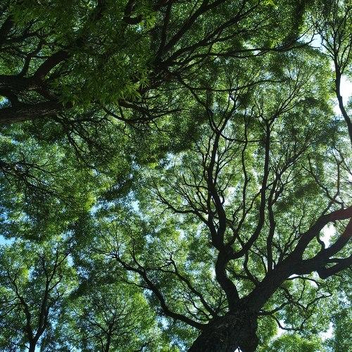 Photo #5550966