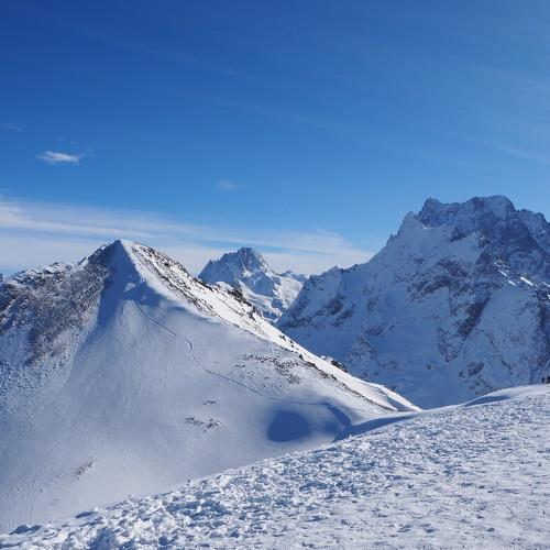 Photo #5551632