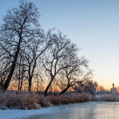 Photo #5551892