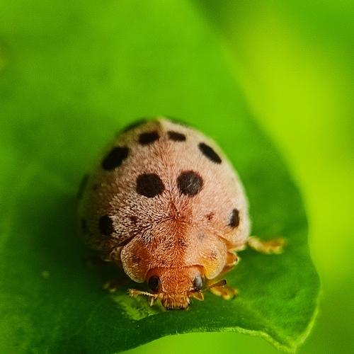 Photo #5552162