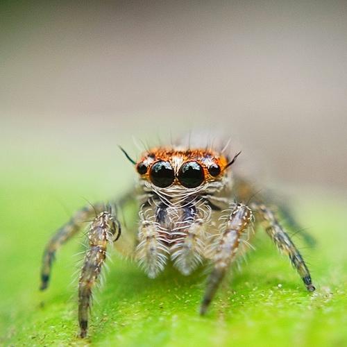 Photo #5552185