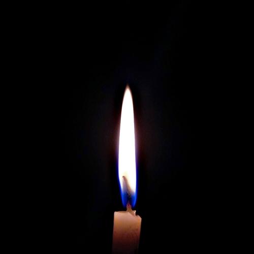 Photo #5552684