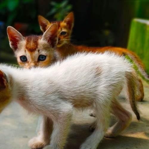 Photo #5552837