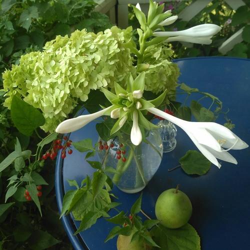 Photo #5553600