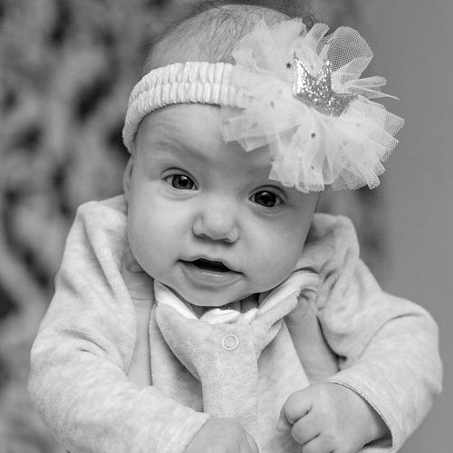 Photo #5554323